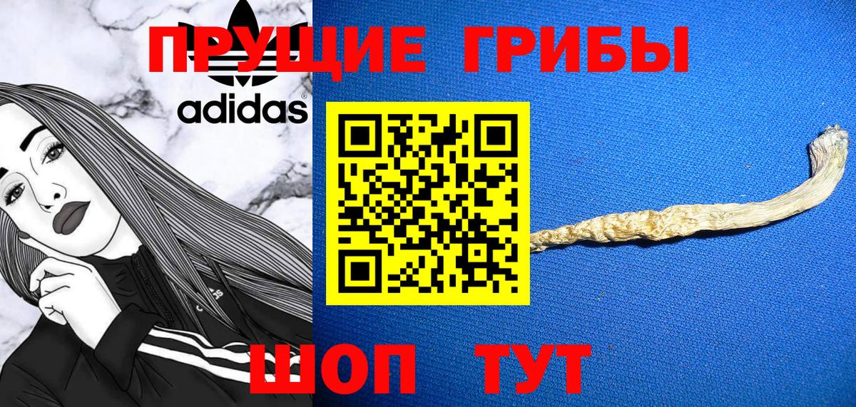 Галлюциногенные грибы прущие грибы  Галлюциногенные грибы GOLDEN TEACHER  Ижевск  Вход с VPN 