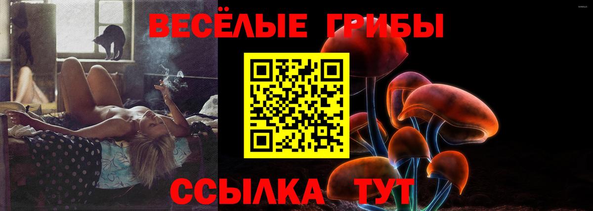 Галлюциногенные грибы Cubensis Ижевск